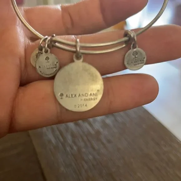 Alex and Ani Path of Life Energy Silver Bracelet - Picture 4 of 5